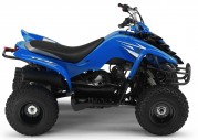 Yamaha YFM50 Yamaha YFM50